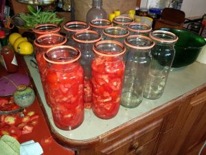 Read more about the article Preserving tomatoes